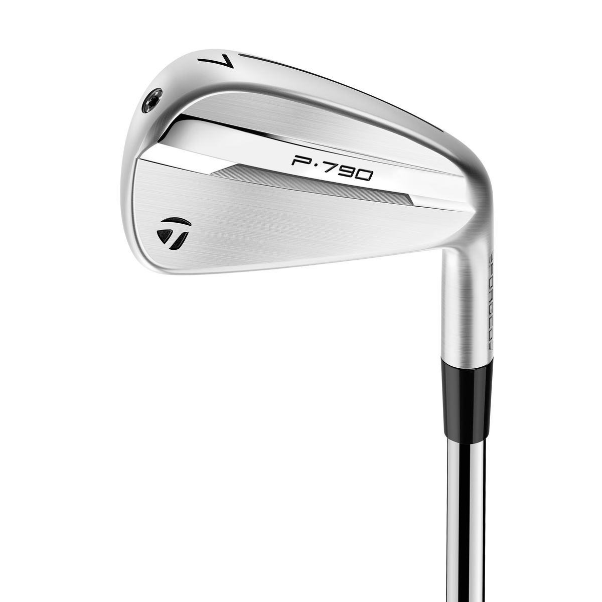 Custom TaylorMade P790-25 Irons