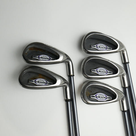 Used Callaway Big Bertha 2002 Iron Set / 6 - PW / Ladies Flex