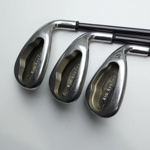 Used Callaway Big Bertha 2004 Iron Set / 5 - PW + W / Ladies Flex